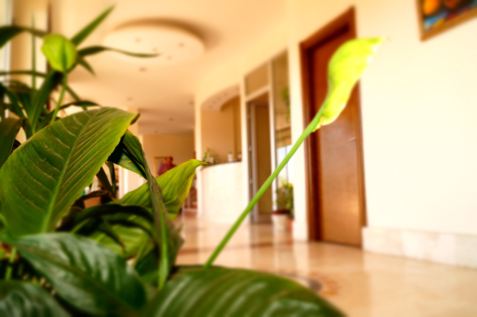 WhatsApp Image 2025-05-23 at 15.29.18 (10)